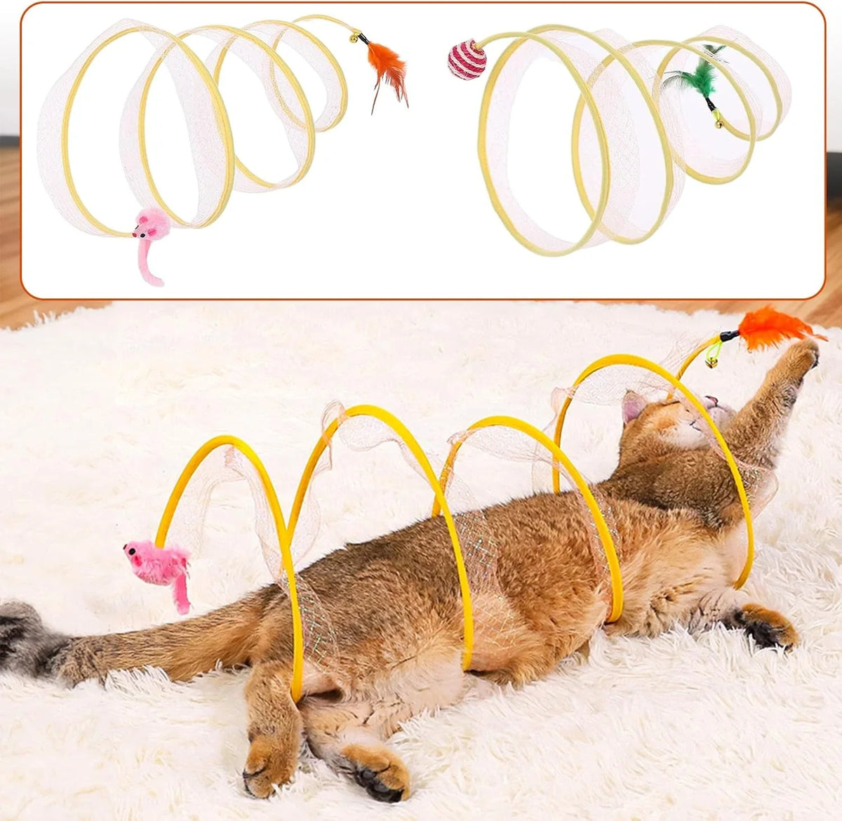 Túnel Espiral Gato